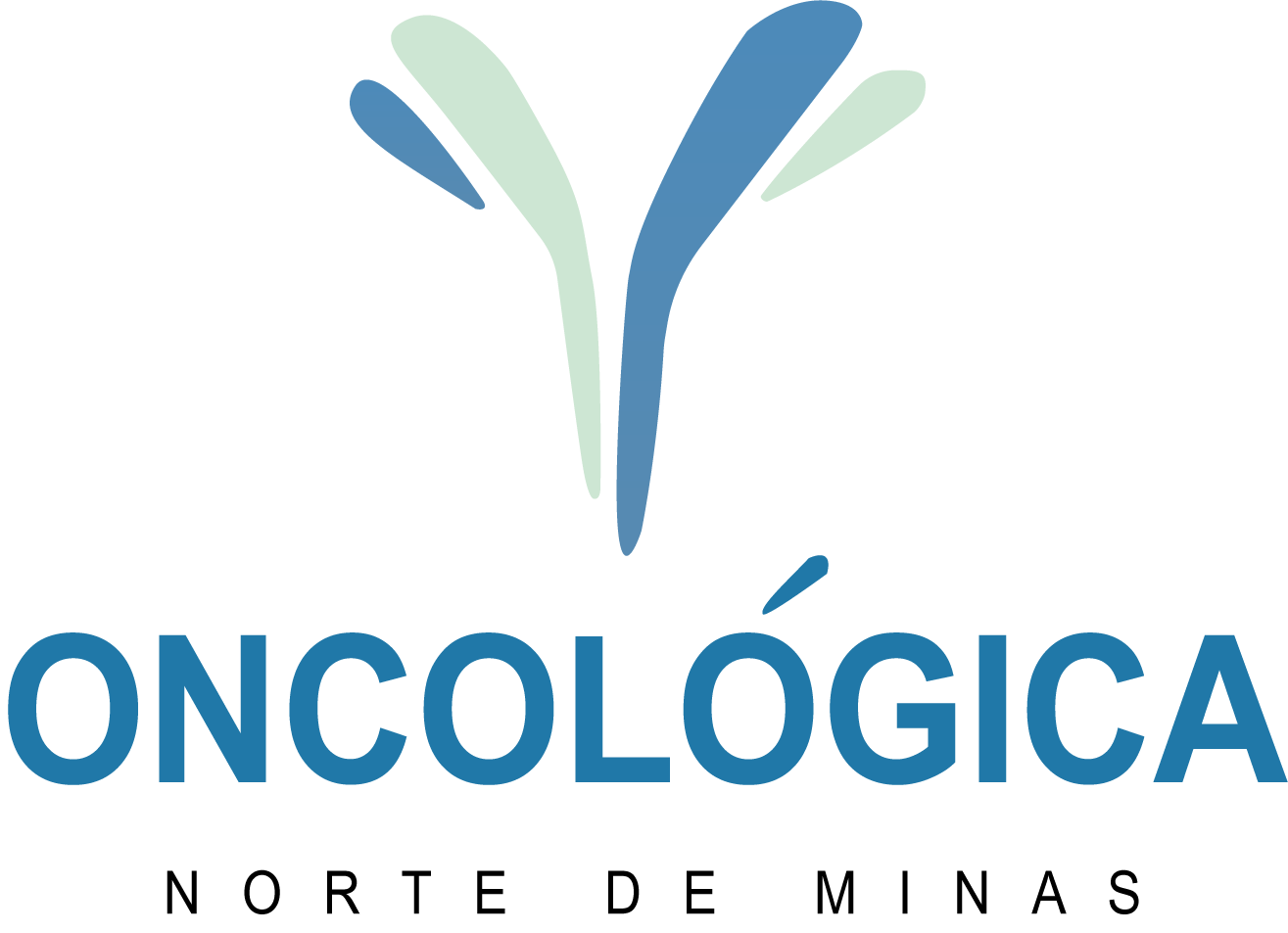 Oncológica Norte